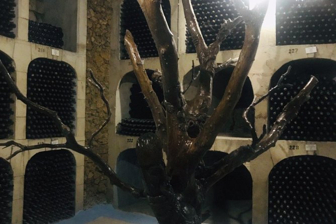 Cricova & Milestii Mici Wineries - The value of a $237.65 tour