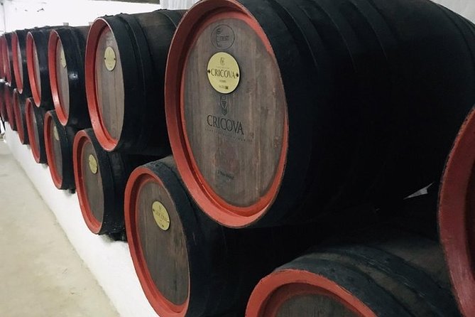 Cricova Winery & SPA Visit - From your Chisinau hotel to Cricova’s underground cellars