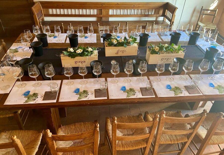 Custoza: Organic Wine Tasting with Vineyard and Cellar Tour - Why this Custoza visit is worth your time