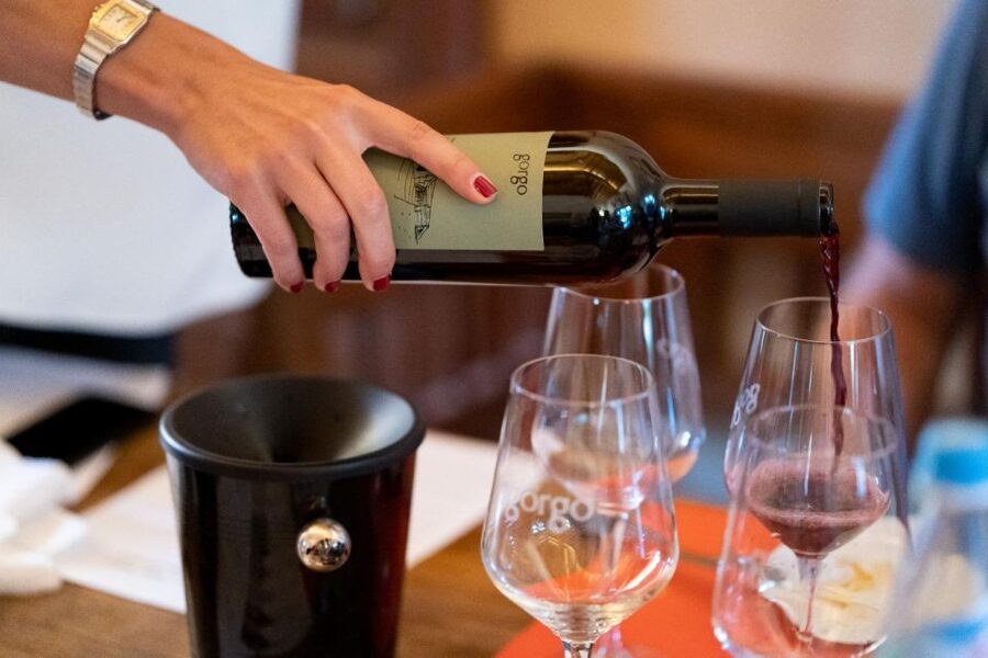 Custoza: Organic Wine Tasting with Vineyard and Cellar Tour - Starting beside the vineyard