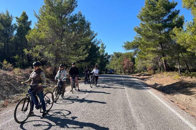 Cycling Through Vineyards & Farm Lunch & Ephesus visit - A Turkish farm lunch and a working rug center