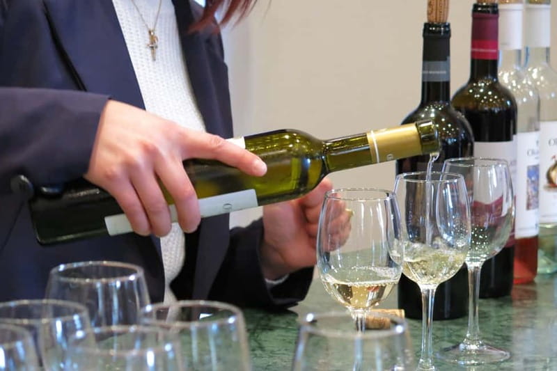 Cyprus: Troodos Mountains Villages and Wineries Tour - The guide makes the long day work