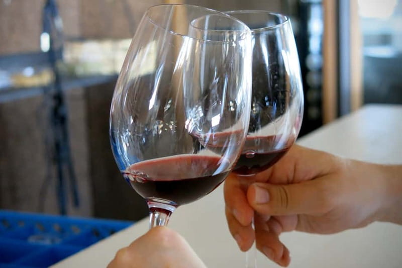Cyprus: Troodos Mountains Villages and Wineries Tour - Should you book the Troodos wine tour?