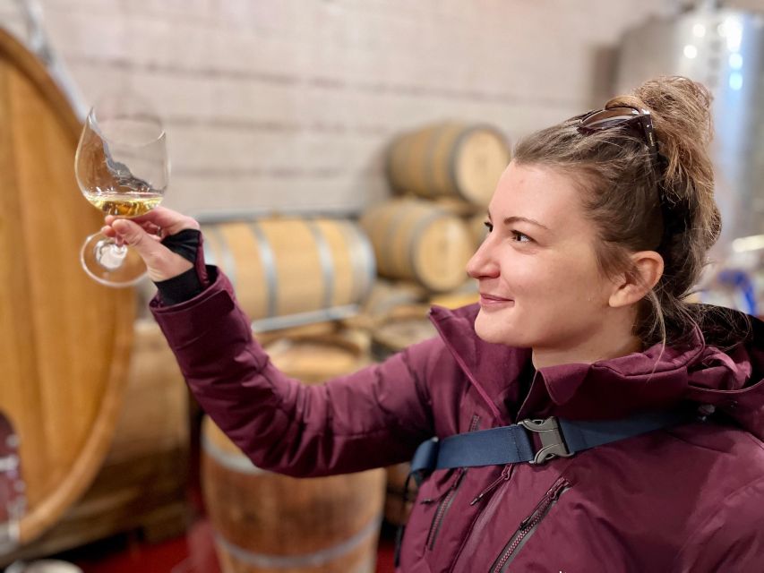 Czech Vineyards and Wine Tasting 4WD Tour with Lunch - Why this Czech wine day feels different