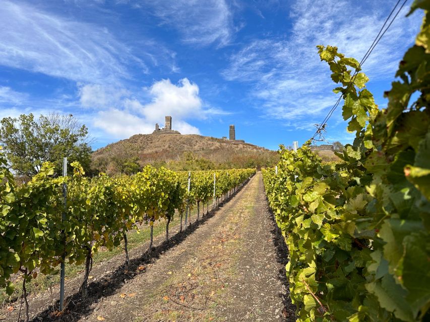 Czech Vineyards and Wine Tasting 4WD Tour with Lunch - Vineyards, volcanic hills, and the Jewish cemetery