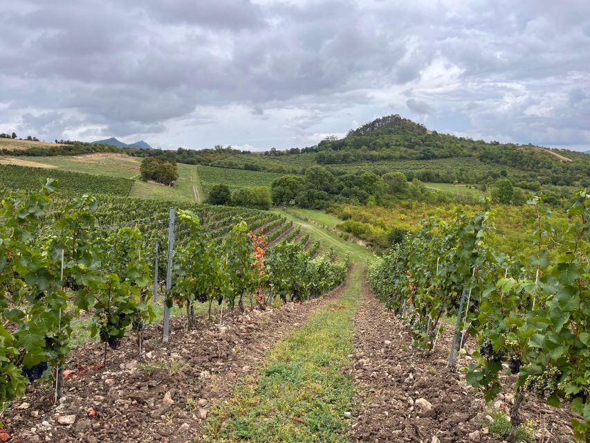 Czech Vineyards and Wine Tasting 4WD Tour with Lunch - A Czech lunch with beer and castle views