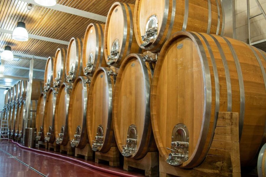 Czech Vineyards and Wine Tasting 4WD Tour with Lunch - What $387 includes and whether it earns its price