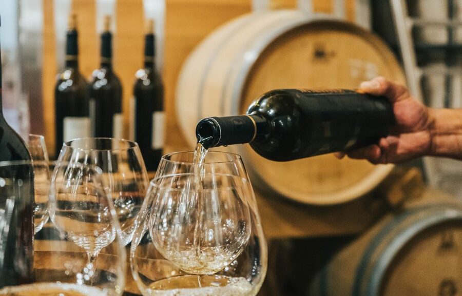 Czech Vineyards and Wine Tasting 4WD Tour with Lunch - Who should book this tour