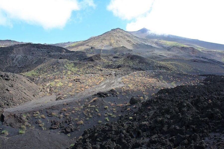 Day Tour To Etna Volcano, Winery and Taormina from Catania - What private transport changes
