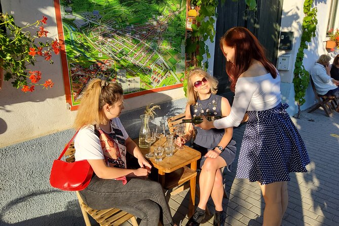 Day trip from Bratislava: Winery Tour with Wine Tasting in the Countryside - Practical details that can shape your day