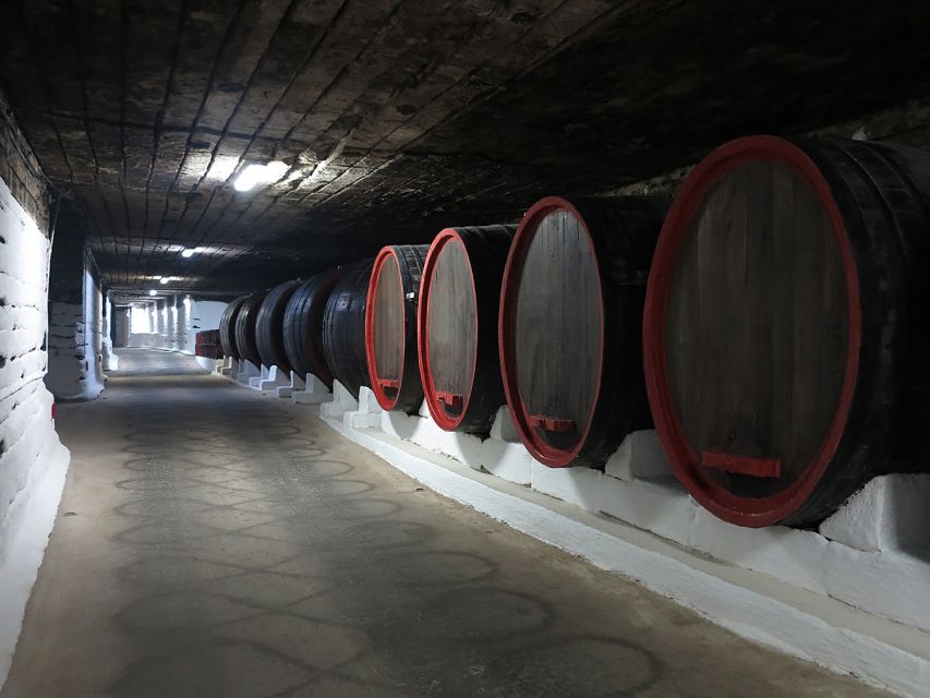 Day trip to Moldova - visit Chisinau and Cricova Winery - Key points to know before booking