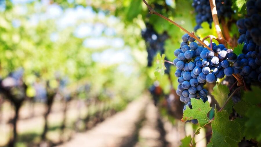 Day trip to Moldova - visit Chisinau and Cricova Winery - Why this Iasi to Moldova day trip works