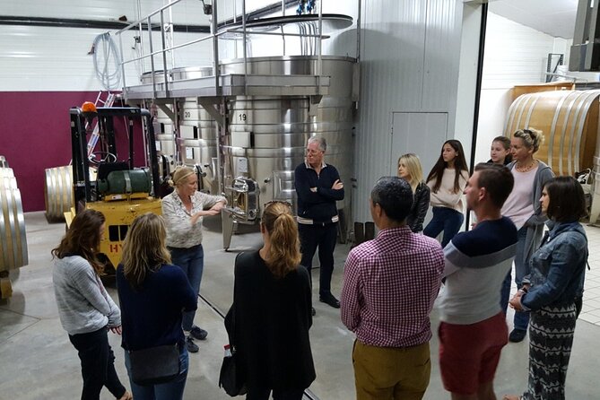 Day Trip to the Sancerre and Pouilly Vineyards - Key points to know before booking