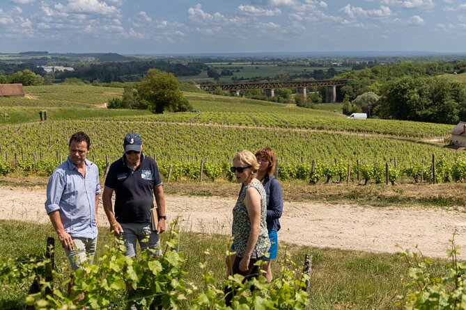Day Trip to the Sancerre and Pouilly Vineyards - Why this Sancerre and Pouilly day feels different