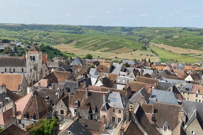 Day Trip to the Sancerre and Pouilly Vineyards - Lunch above the Loire