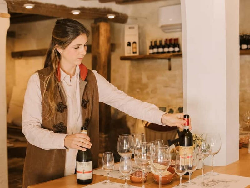 Degustazione di vini alla Cantina Montevecchio Isolani - Seeing how wine is made today