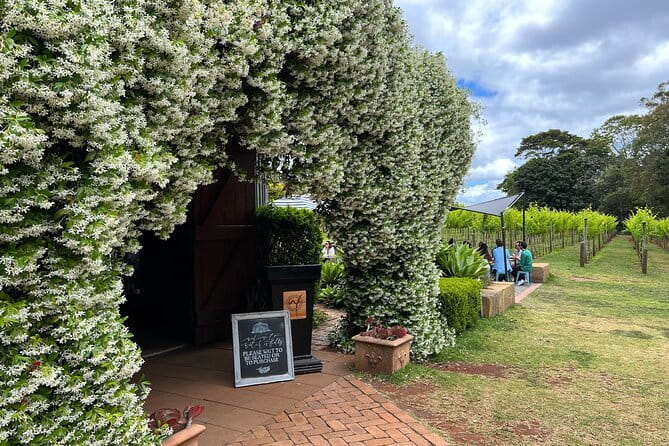 Deluxe Winery Tour to Tamborine Mountain (Mon-Tues) - Key points at a glance