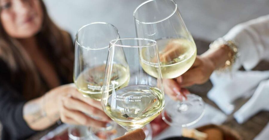 Desenzano: Lugana Wine-Tasting and Vineyard Tour - Key points at a glance