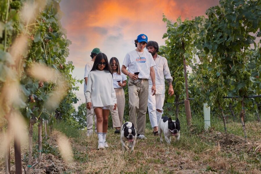 Desenzano: Lugana Wine-Tasting and Vineyard Tour - Why Lugana makes this a worthwhile Lake Garda stop