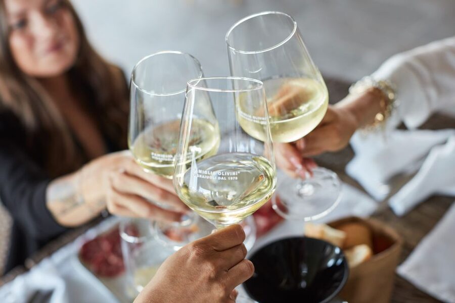 Desenzano: Lugana Wine-Tasting and Vineyard Tour - Walking through the vineyards and production areas