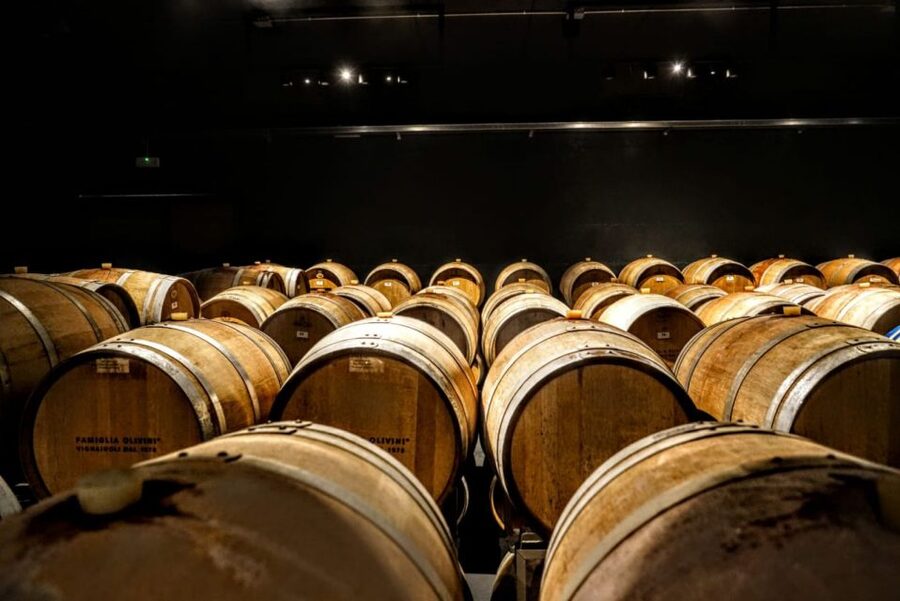 Desenzano: Lugana Wine-Tasting and Vineyard Tour - Four wines, with a possible extra pour