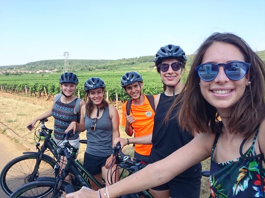 Dijon: Bike tour and Tastings in the Vineyards of Burgundy - Key points at a glance