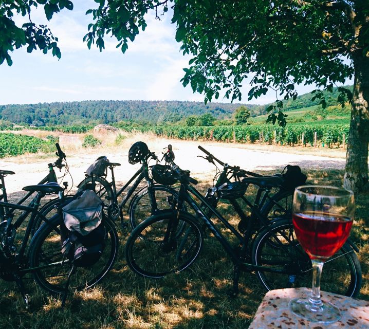 Dijon: Bike tour and Tastings in the Vineyards of Burgundy - Starting in Chenôve beside Clos du Roy