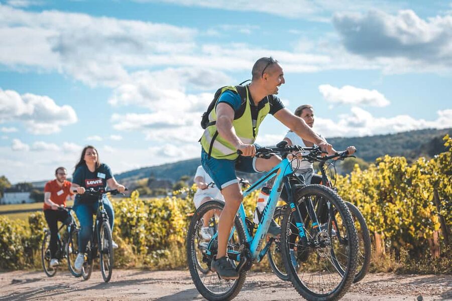 Dijon: Bike tour and Tastings in the Vineyards of Burgundy - Marsannay-la-Côte, Fixin, Brochon, and Gevrey-Chambertin