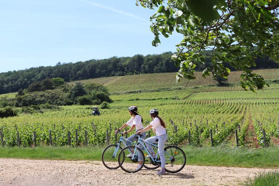 Dijon: Walking tour of the metropolitan vineyards - The return to Place Darcy