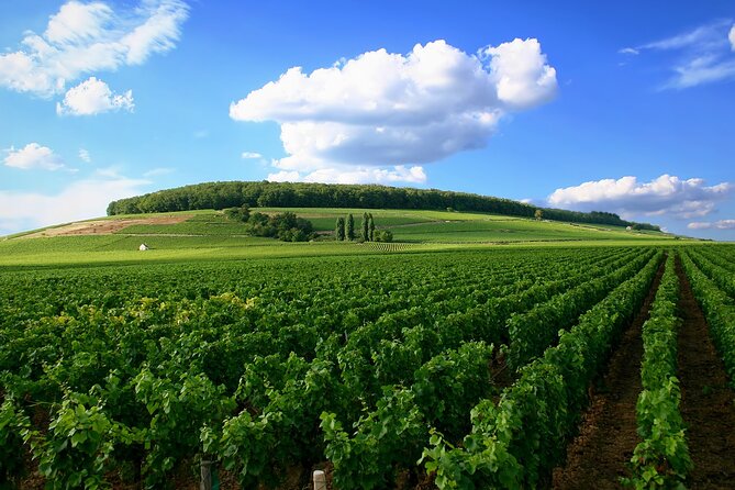 Dijon Wine Tour Côte de Nuits and Côte de Beaune Vineyards - Why this route works for a first Burgundy wine day