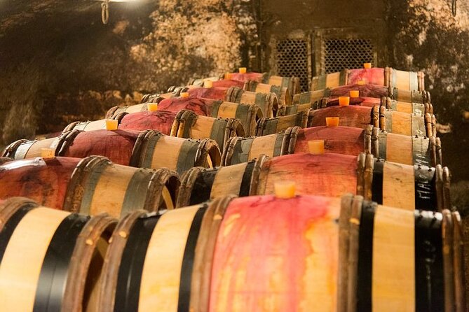 Dijon Wine Tour Côte de Nuits and Côte de Beaune Vineyards - What the guides add to the day
