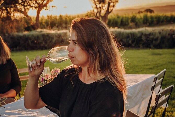 Dinner at the Vineyards in Lagoa - A vineyard dinner with a distinctly Algarvian setting