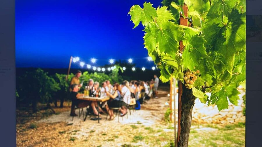 Dinner in the vineyard and wine tasting under the stars - Meeting the fourth-generation hosts