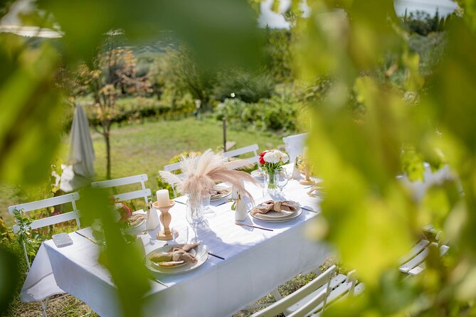 Dinner in the vineyard French Riviera - Music, art, and the changing program