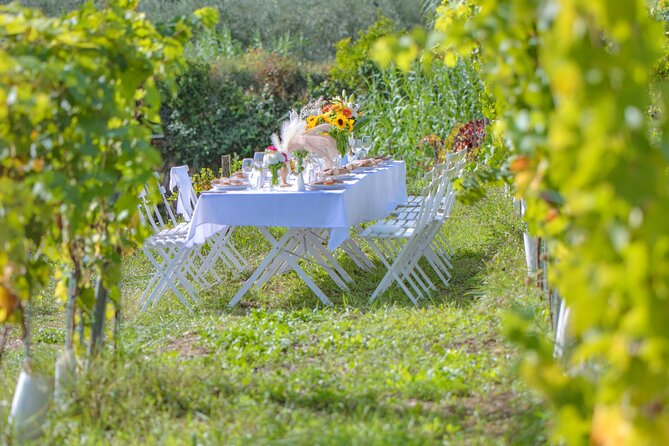 Dinner in the vineyard French Riviera - Getting to a vineyard outside Nice