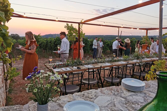 Dinner in the vineyard with wine tasting and walk - Key points at a glance