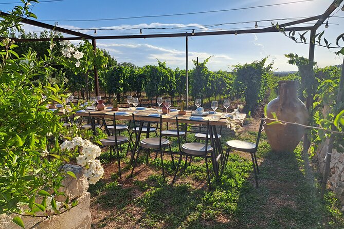 Dinner in the vineyard with wine tasting and walk - The vineyard walk and Itria Valley setting