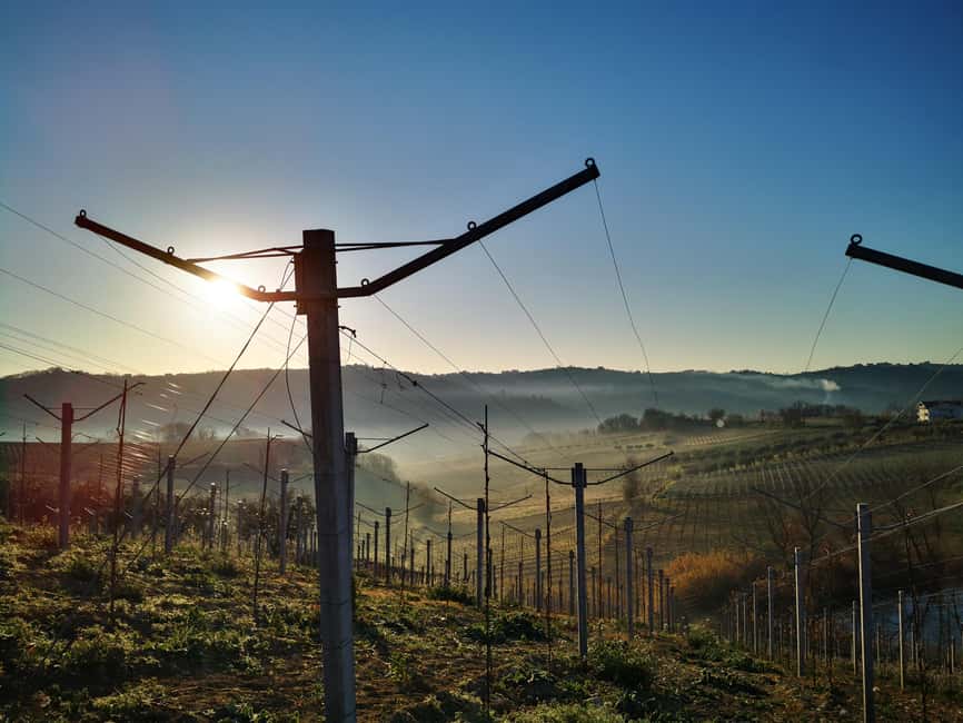 Discover Abruzzo and Castelferrato: Visit Vineyards and Wine Tasting - Key points to know before booking