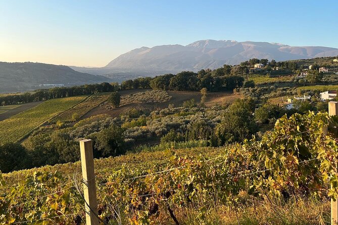 Discover Abruzzo: Winery Tour and Wine Tasting with Meal - Returning to the winery for four courses