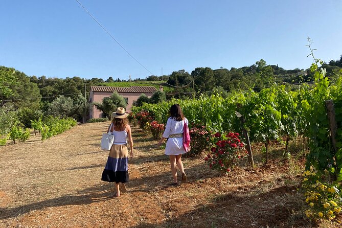 Discover Authentic Flavors of Elba Island: Winery Tour & Tasting - Key Points to Know Before You Book