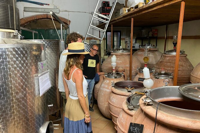 Discover Authentic Flavors of Elba Island: Winery Tour & Tasting - Why the Amphora Cellar Makes This Elba Tour Different