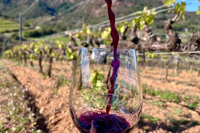 Discover Authentic Flavors of Elba Island: Winery Tour & Tasting - The 5:30 pm Start Near Porto Azzurro