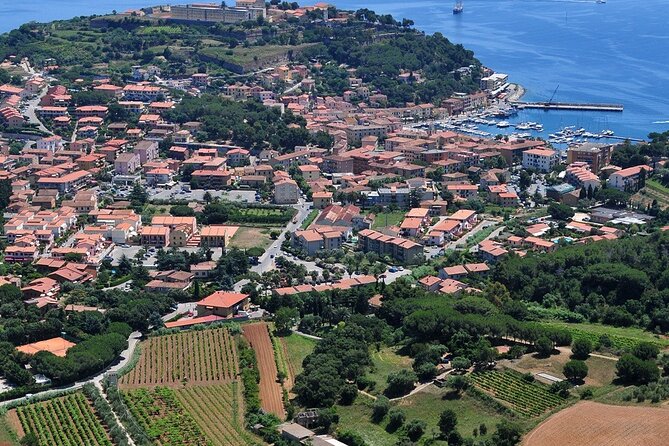 Discover Authentic Flavors of Elba Island: Winery Tour & Tasting - The Family Touch and What to Expect From the Guide