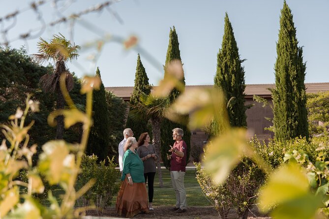 Discover La Rioja: Guided Winery Tour & Wine Tasting - Chorizo, cheese, and the value of a small snack