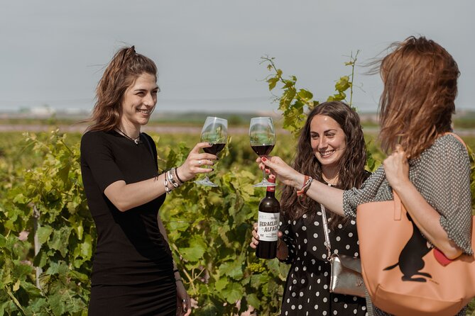 Discover La Rioja: Guided Winery Tour & Wine Tasting - Should you book this Alfaro winery tour?