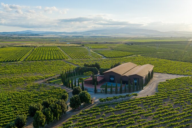 Discover La Rioja: Guided Winery Tour & Wine Tasting - Inside the old hangar and the wine-making process