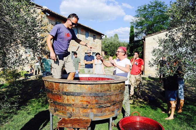 Discover Organic and Biodynamic Chianti Small Wineries - Key points to know before booking