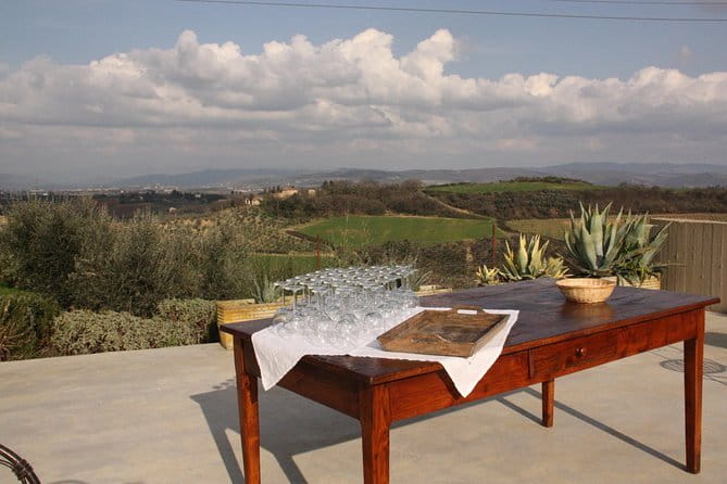Discover Organic and Biodynamic Chianti Small Wineries - What the small group changes