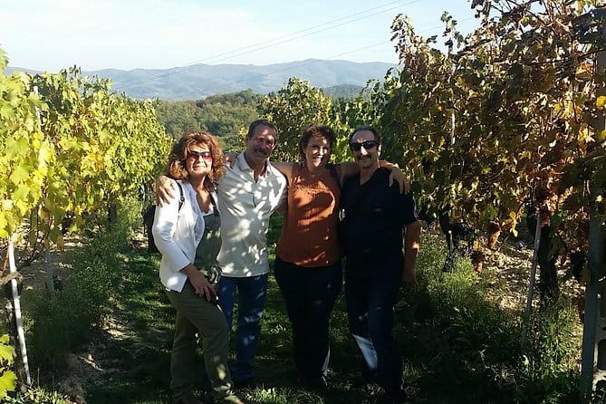 Discover Organic and Biodynamic Chianti Small Wineries - Greve in Chianti, the region’s practical center