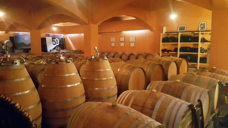 Discover Taste of Crete: Guided Winery Tour and Tastings - Lyrarakis Winery: a bigger name and a wider view